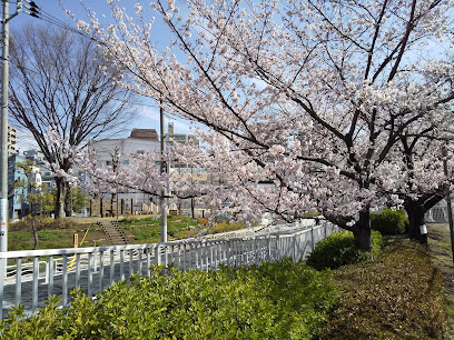 江東区立臨海公園