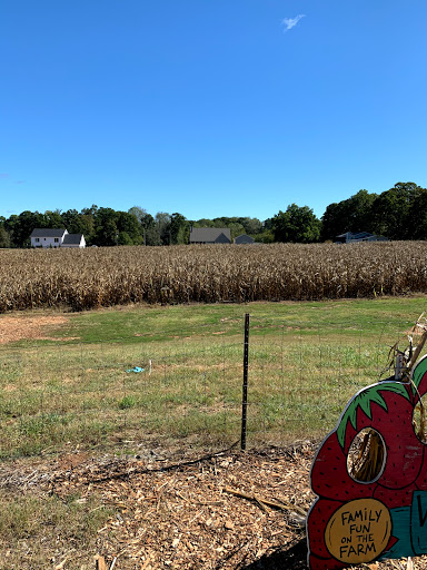 Farm «Warbington Farms (U-Pick Strawberries)», reviews and photos, 5555 Crow Rd, Cumming, GA 30041, USA