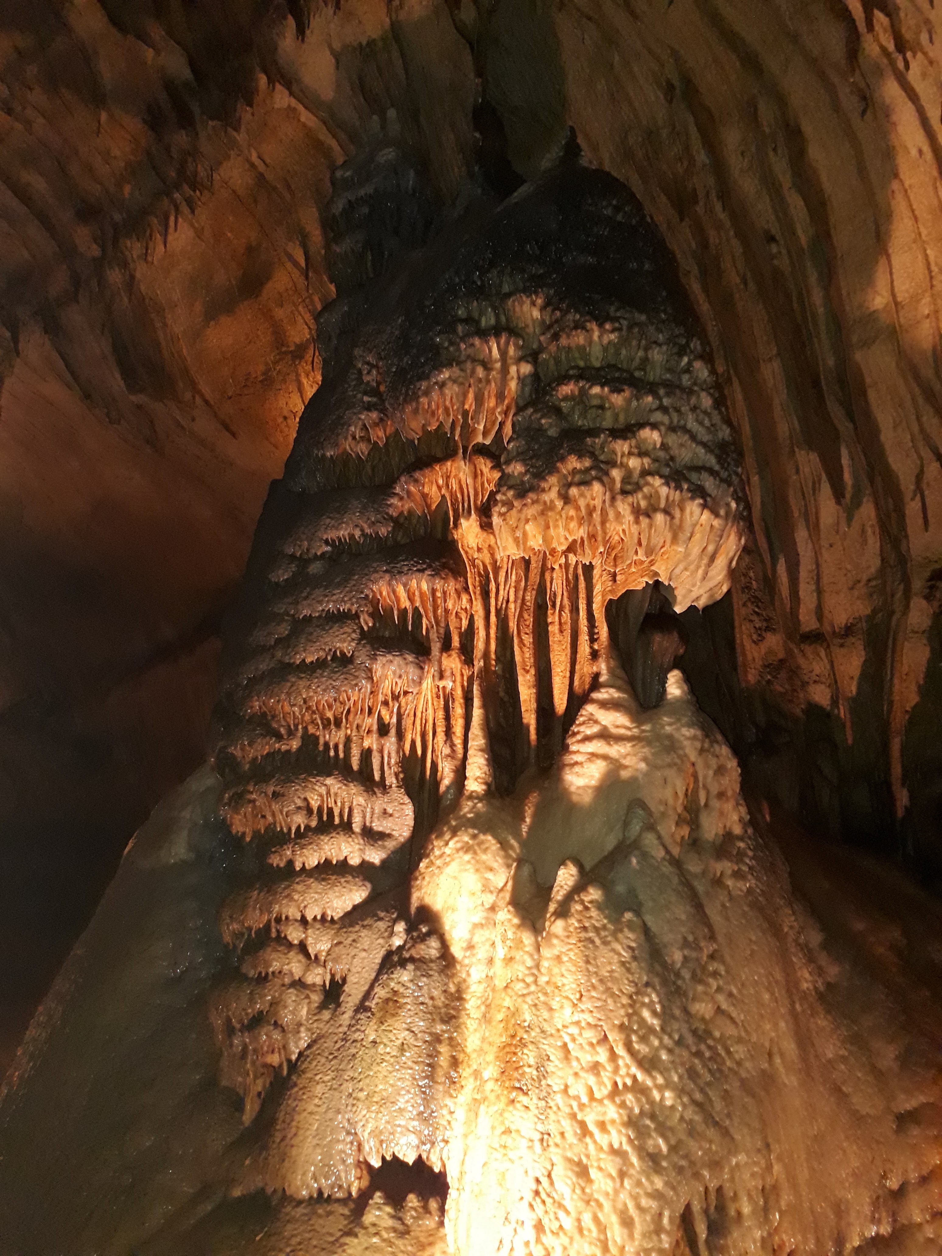 Photo n° 7 de l'avis de Olivier.e fait le 22/04/2018 à 09:12