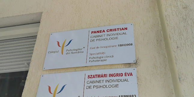 Panea Cristian - Psiholog