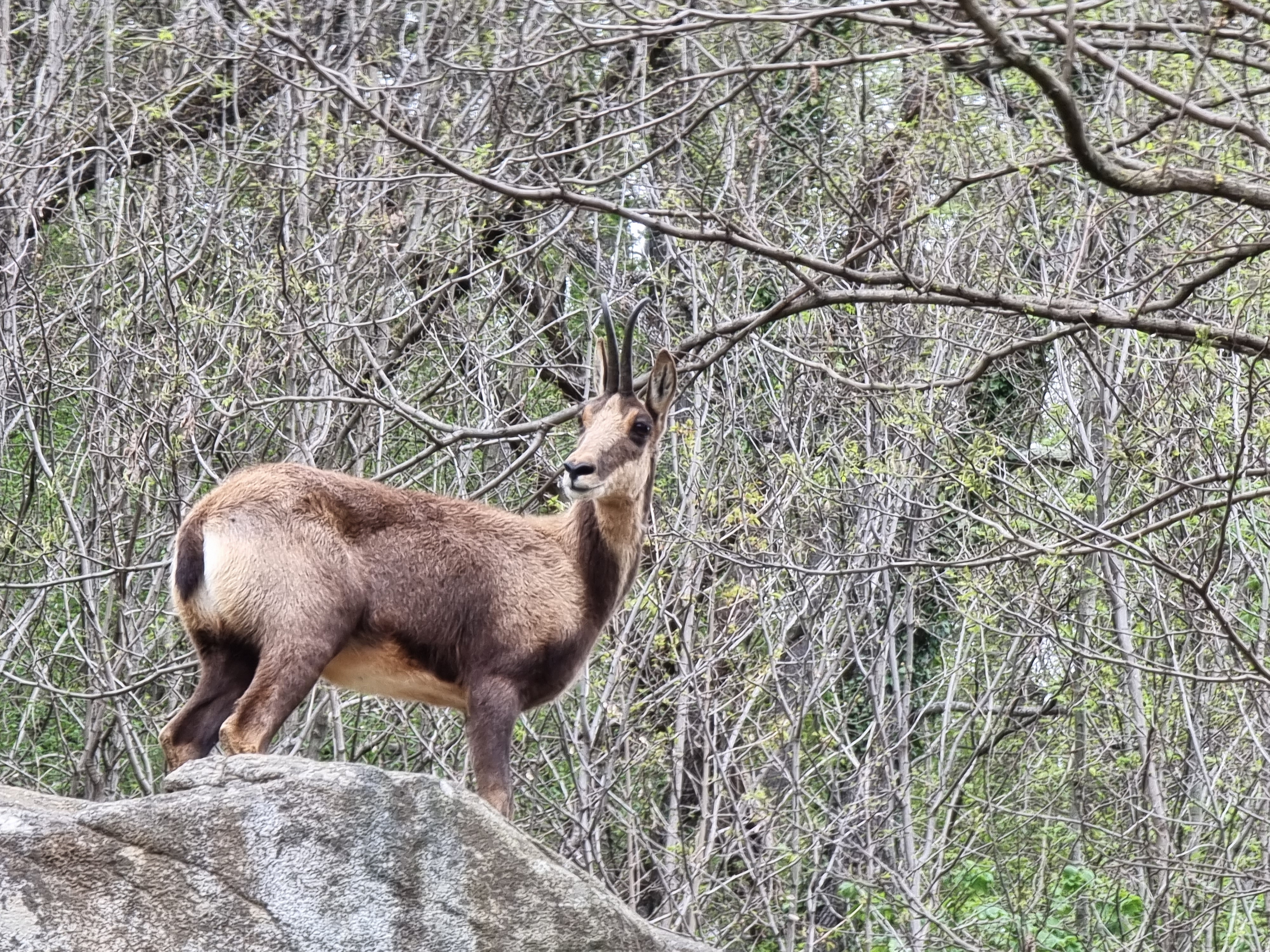 Photo n° 20 de l'avis de Noel.l fait le 12/04/2022 à 13:30