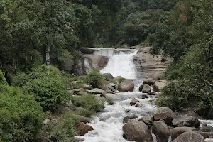 Chinna Kallar Falls image