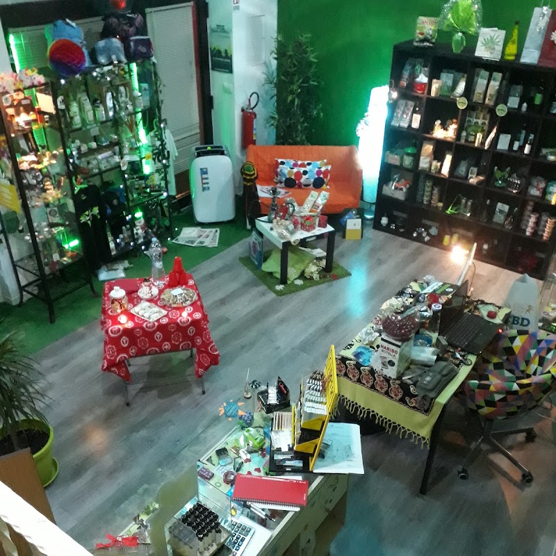 Canapa Shop - Grow Shop - Minimarket