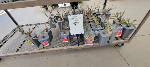 Electronics Store «Best Buy», reviews and photos, 13711 W Bell Rd, Surprise, AZ 85374, USA