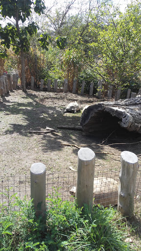 Zoo «Durhams Bear Canyon», reviews and photos, 3701 S 10th St, Omaha, NE 68107, USA