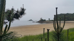 Photo de Meondong Beach avec baie longue