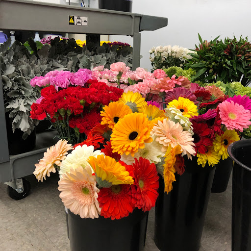 Florist «Oakleaf Florist», reviews and photos, 4185 Naco Perrin Blvd, San Antonio, TX 78217, USA