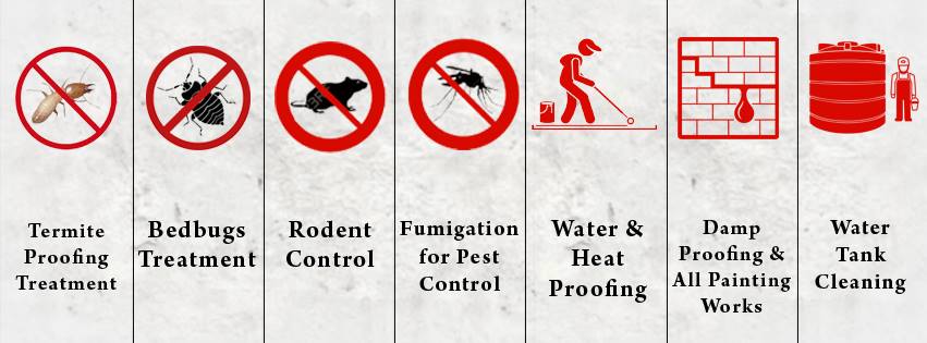 Hassan Chemical Pest Control, Fumigation, WaterProofing & Paint Services
