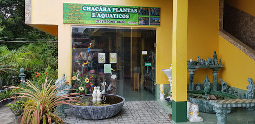 Chácara Plants