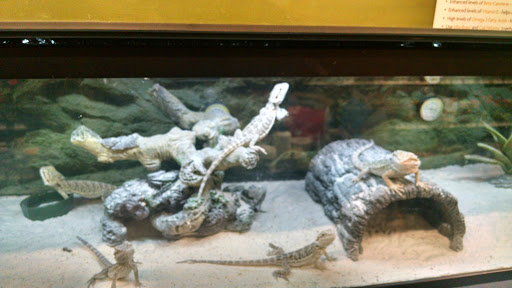 Pet Supply Store «Petco Animal Supplies», reviews and photos, 390 Universal Dr N, North Haven, CT 06473, USA