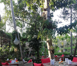 Ubud Kitchen at Arma Thai photo