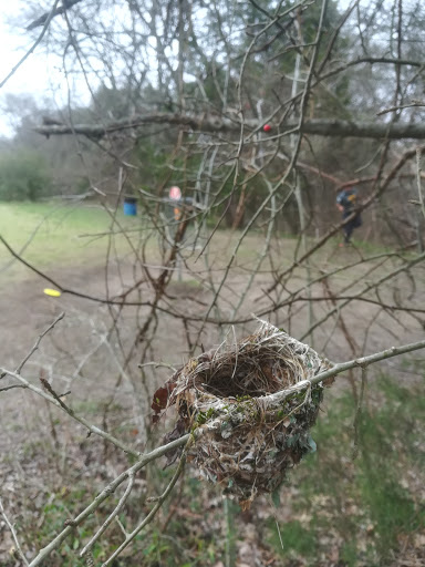 Disc Golf Course «Lester Lorch Park - Beaver Disc Golf Course», reviews and photos, 1823 Texas Plume Rd, Cedar Hill, TX 75104, USA