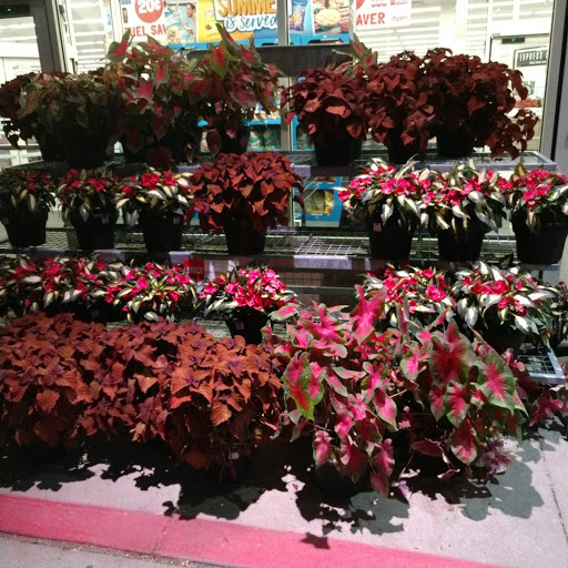 Supermarket «Hy-Vee», reviews and photos, 4815 Maple Dr, Pleasant Hill, IA 50327, USA