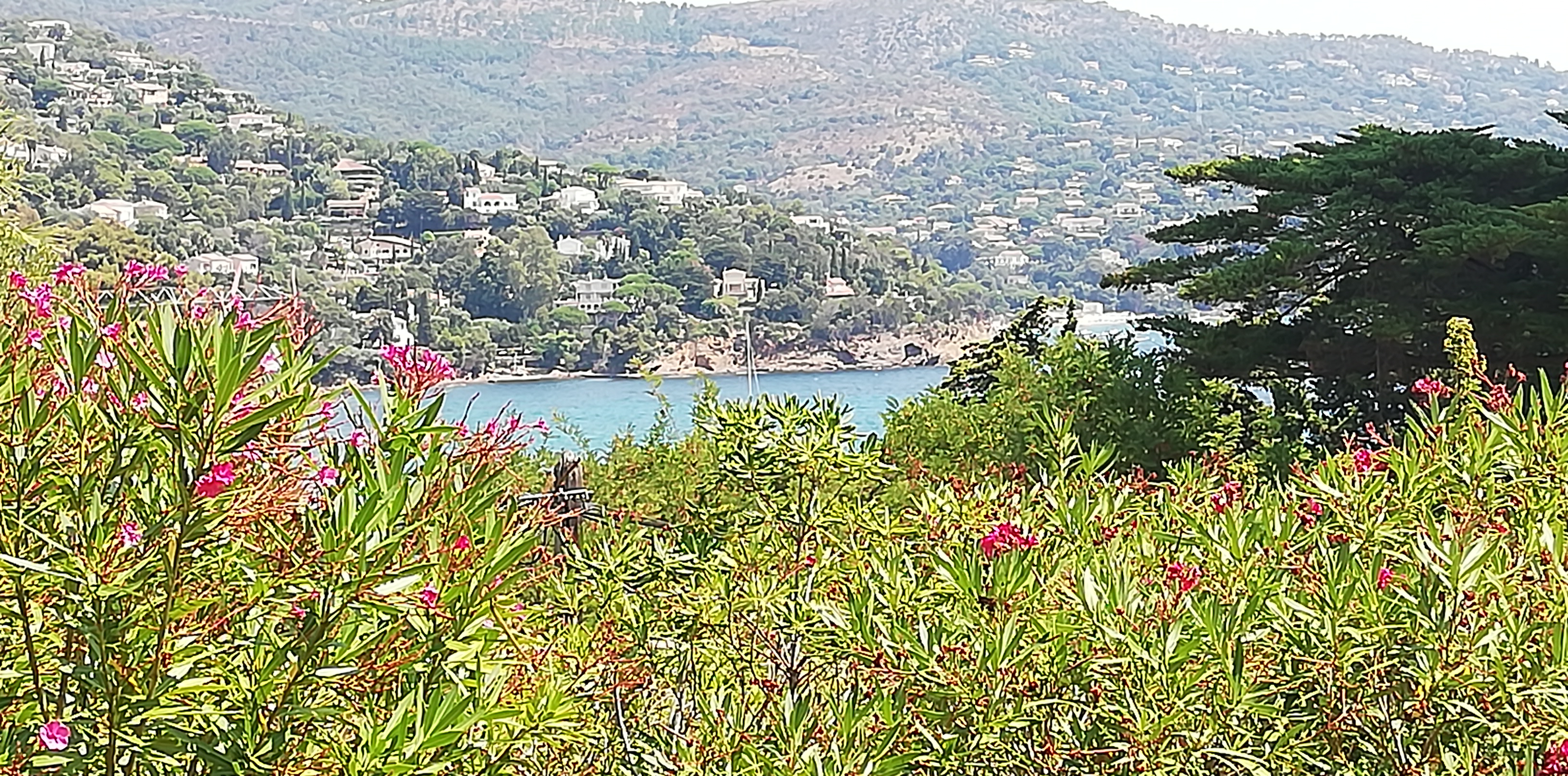 Photo n° 19 de l'avis de manu624000. fait le 05/08/2019 à 12:10