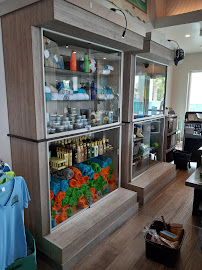 A A Glass Services - Photo 2 - Car repair in St. Petersburg, FL, St. Petersburg