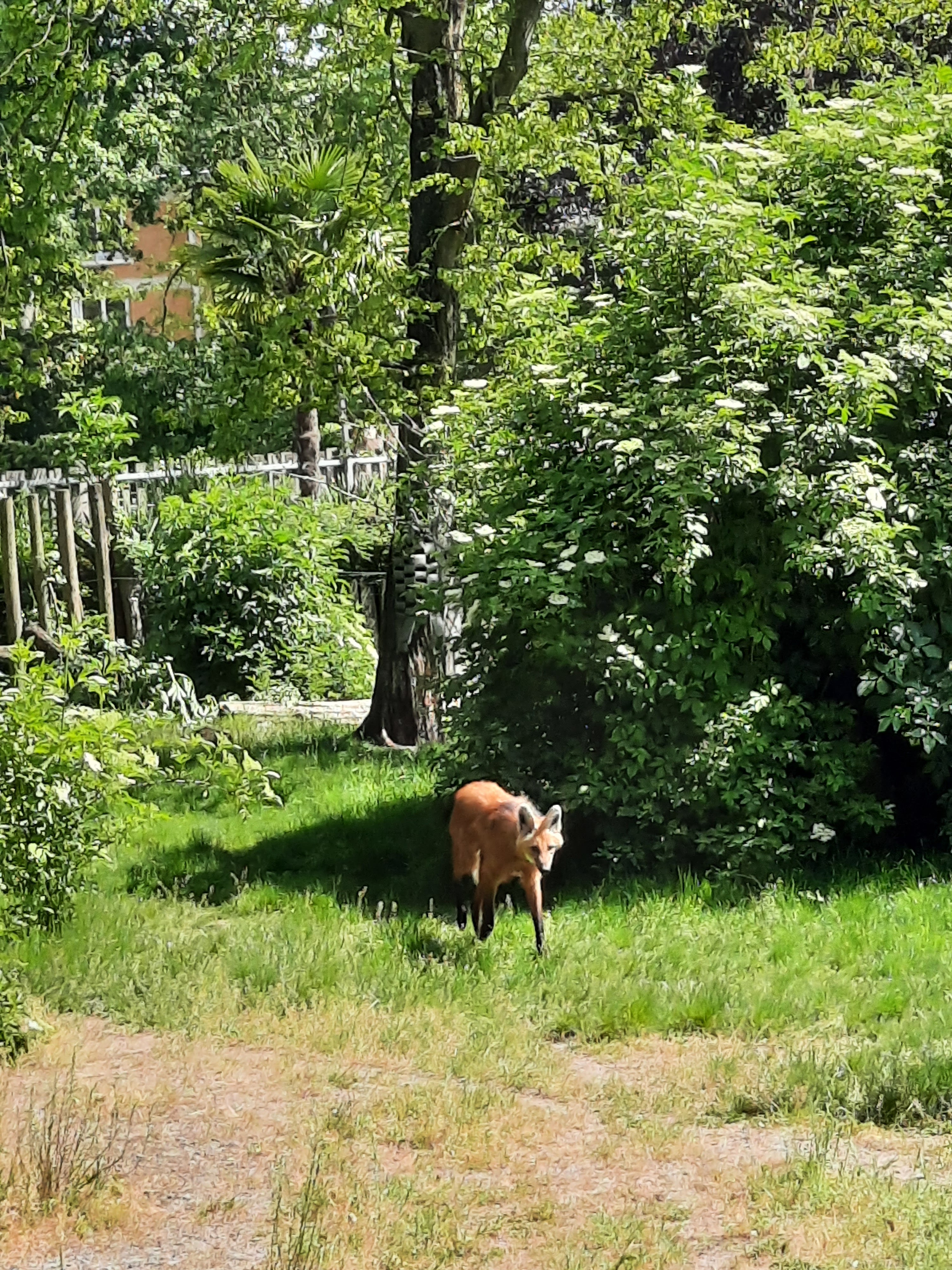 Photo n° 5 de l'avis de Gilda.i fait le 04/06/2023 à 15:22