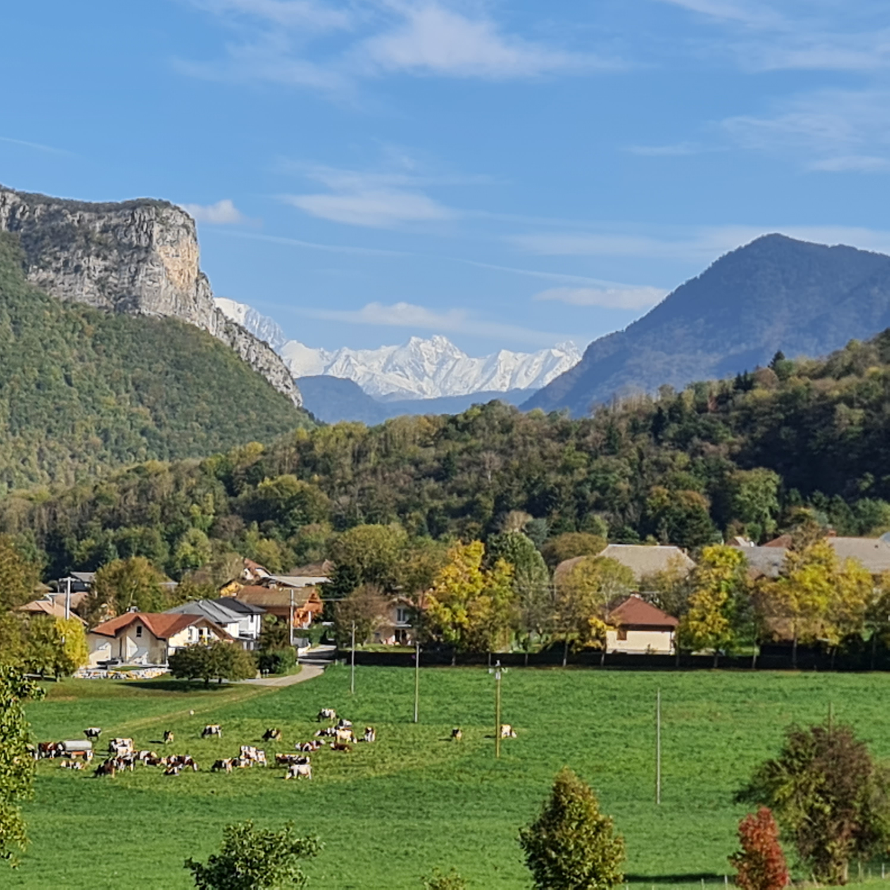 Photo n° 1 de l'avis de Didier.- fait le 26/10/2022 à 17:54
