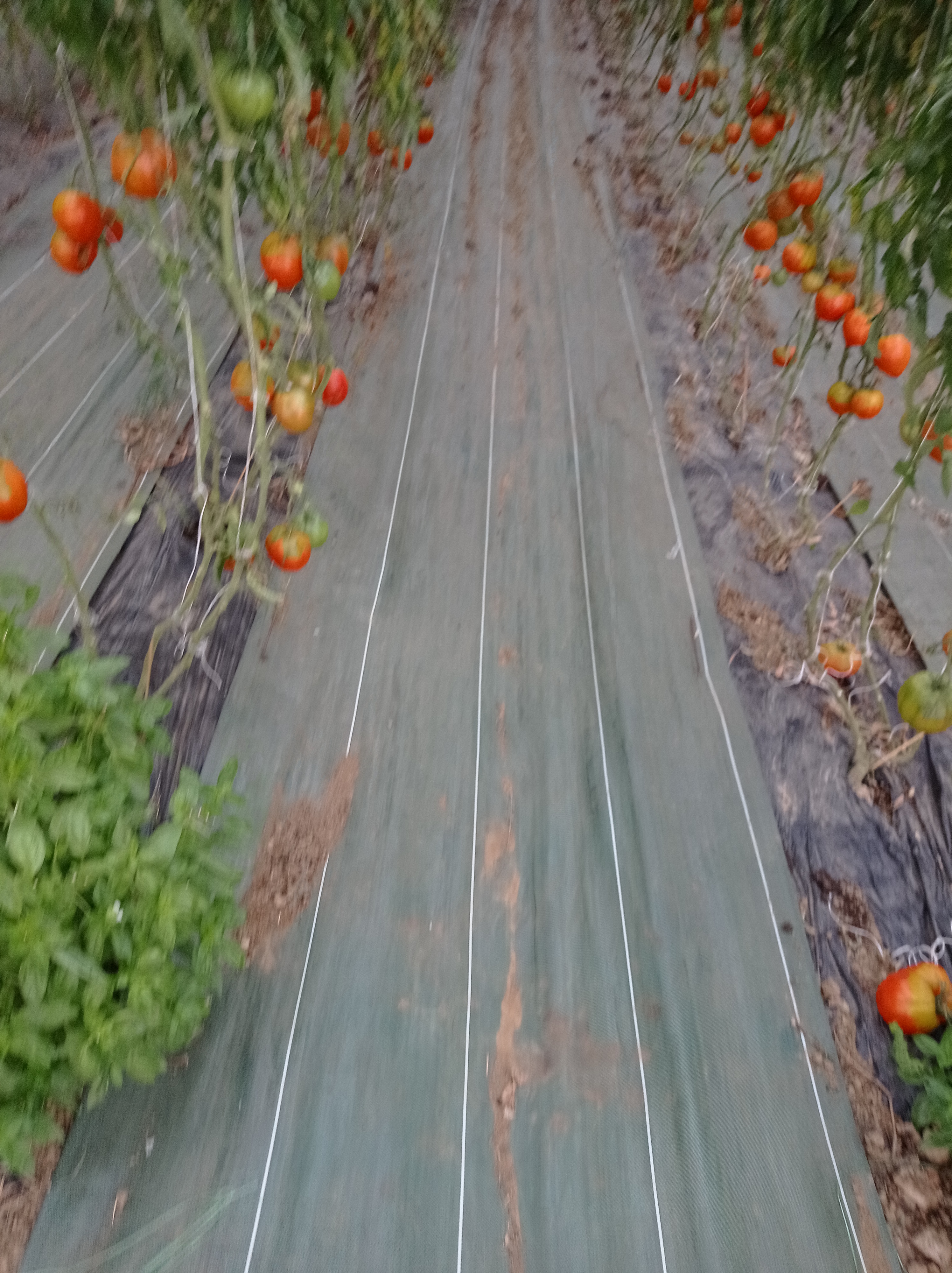 Photo n° 21 de l'avis de alexandre.u fait le 27/08/2023 à 13:21