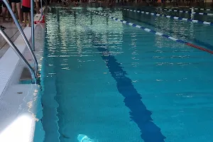 Schwimmclub Delphin Ingolstadt e.V. image