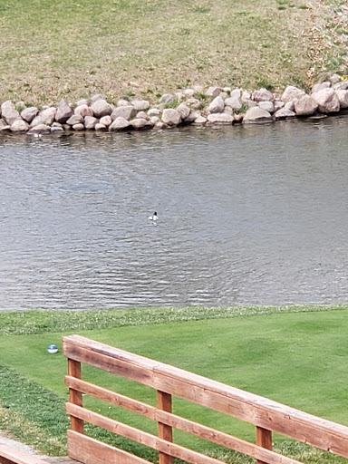 Private Golf Course «Blue Mound Golf and Country Club», reviews and photos, 10122 W North Ave, Wauwatosa, WI 53226, USA