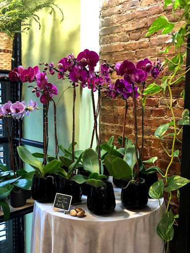 Florist «Avenue J Florist», reviews and photos, 1502 Avenue J, Brooklyn, NY 11230, USA