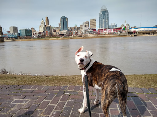 Park «George Rogers Clark Park», reviews and photos, 219 Riverside Dr, Covington, KY 41011, USA