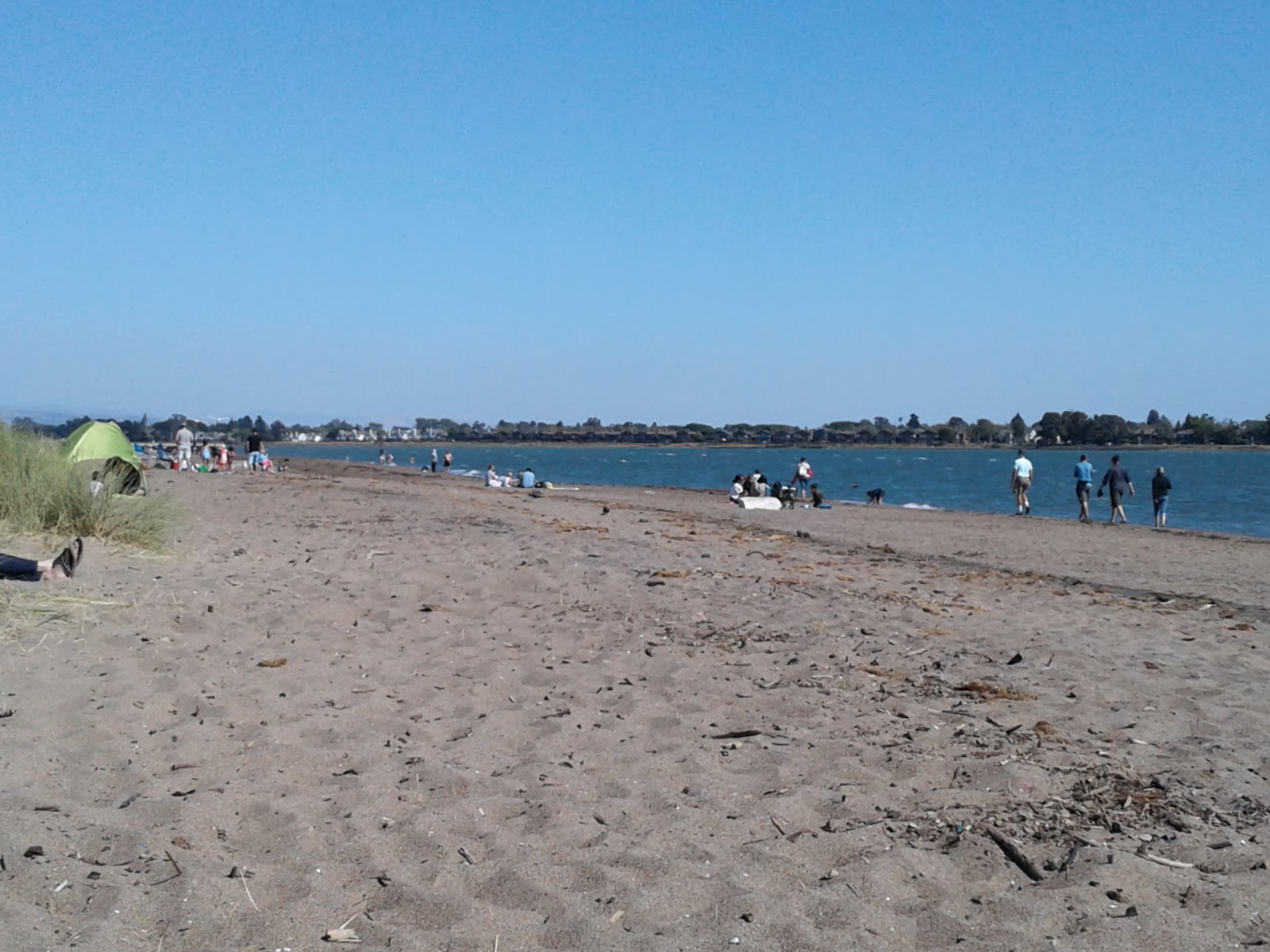 Photo of Alameda beach with bright sand surface