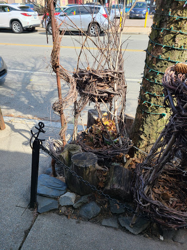 Florist «Providence Florist - Blooming Blossoms», reviews and photos, 780 Hope St, Providence, RI 02906, USA