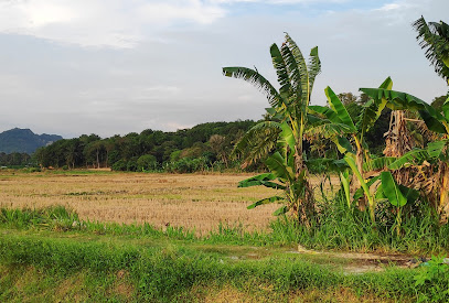 Kampung Parit Melana,Jalan Alor Gajah Lama