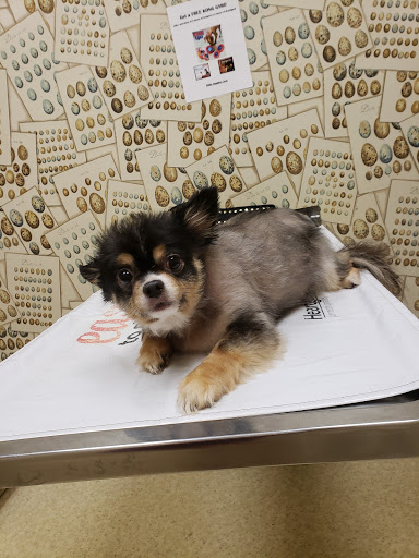 Kinard Animal Hospital image