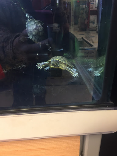 Pet Supply Store «Petco Animal Supplies», reviews and photos, 300 Hylan Dr, Rochester, NY 14623, USA