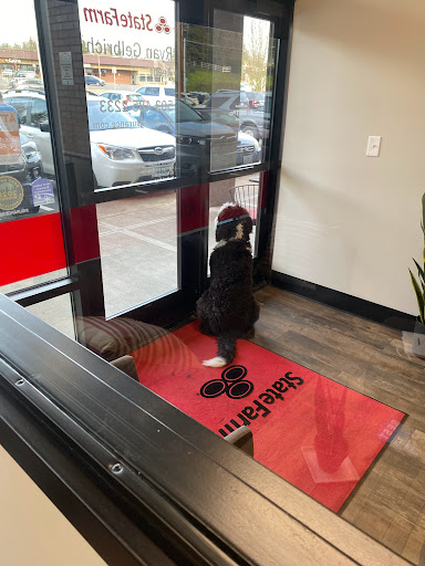 Insurance Agency «Ryan Gelbrich - State Farm Insurance Agent», reviews and photos