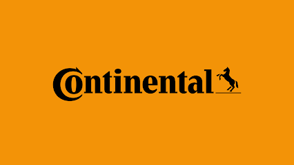 Continental - M. Necdet Kılıç