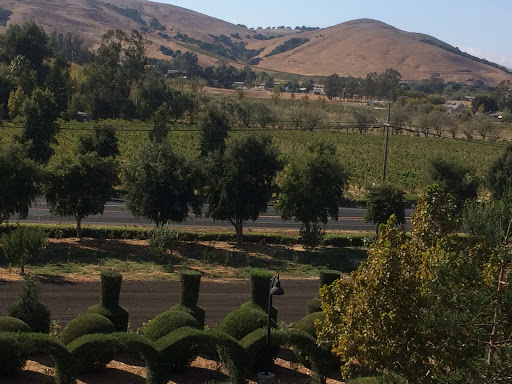 Vineyard «Jacuzzi Family Vineyards», reviews and photos, 24724 Arnold Dr, Sonoma, CA 95476, USA