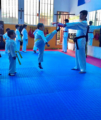 Taekwondo Impacto Centro - 3 Av Sureste, Managua 14038, Nicaragua