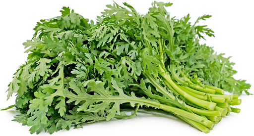 Asian Grocery Store «Tan A Grocery LLC», reviews and photos, 414 Ash St, Syracuse, NY 13208, USA