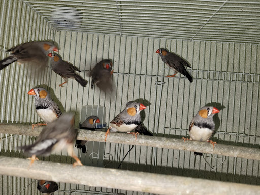 Pet Supply Store «E & M Pet Shop», reviews and photos, 5900 Whittier Blvd, Los Angeles, CA 90022, USA