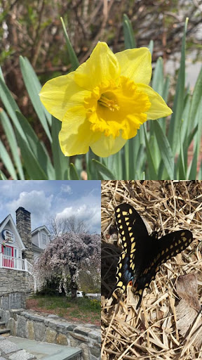 Preschool «Once Upon a Time Preschool & Daycare», reviews and photos, 47 Peekskill Hollow Rd, Putnam Valley, NY 10579, USA