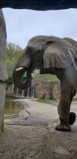 Tourist Attraction «Cleveland Zoo Train Station», reviews and photos, Wildlife Way, Cleveland, OH 44109, USA