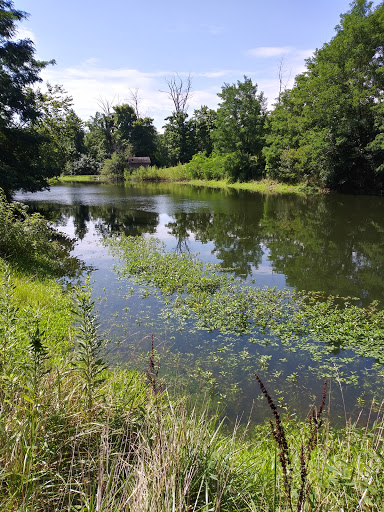 Public Golf Course «Beech Creek Golf Course», reviews and photos, 1831 Hudepohl Ln, Cincinnati, OH 45231, USA