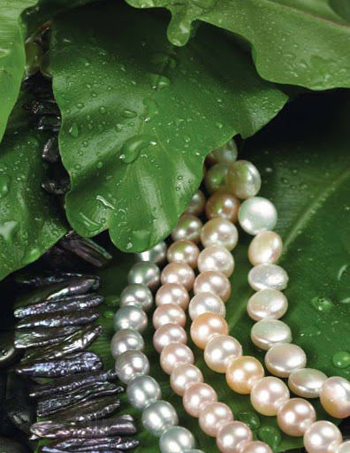 Bridal Shop «Hayes Jewelers», reviews and photos, 5456 Cottage Hill Rd, Mobile, AL 36609, USA