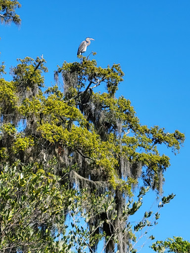 Park «Boca Ciega Millennium Park», reviews and photos, 12410 74th Ave N, Seminole, FL 33772, USA