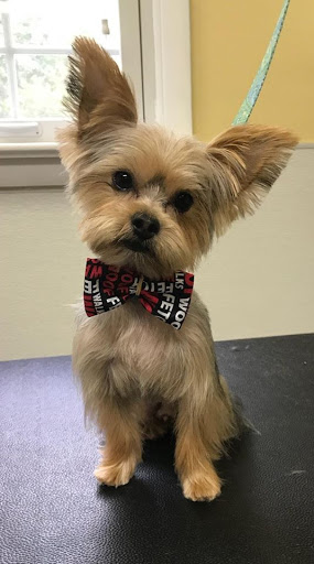 Pet Supply Store «Animal House Grooming & Quality», reviews and photos, 229 W Absecon Blvd, Absecon, NJ 08201, USA