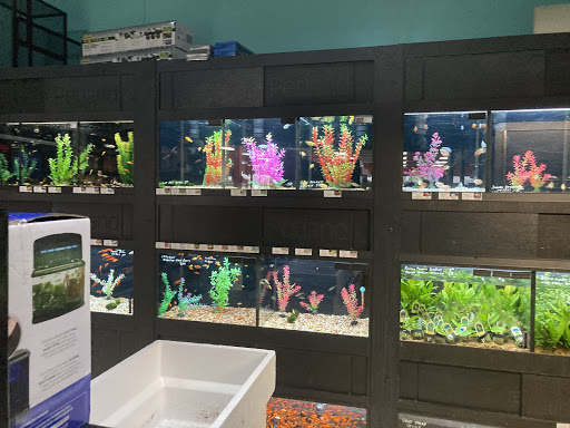 Pet Store «Petland», reviews and photos, 1514 Stonecreek Dr, Pickerington, OH 43147, USA