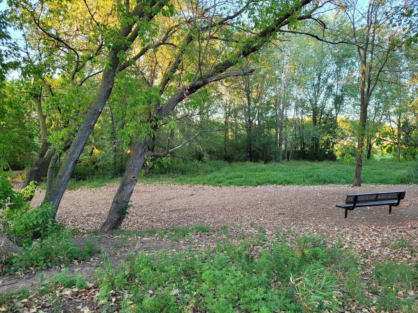 Oakdale Bark Park