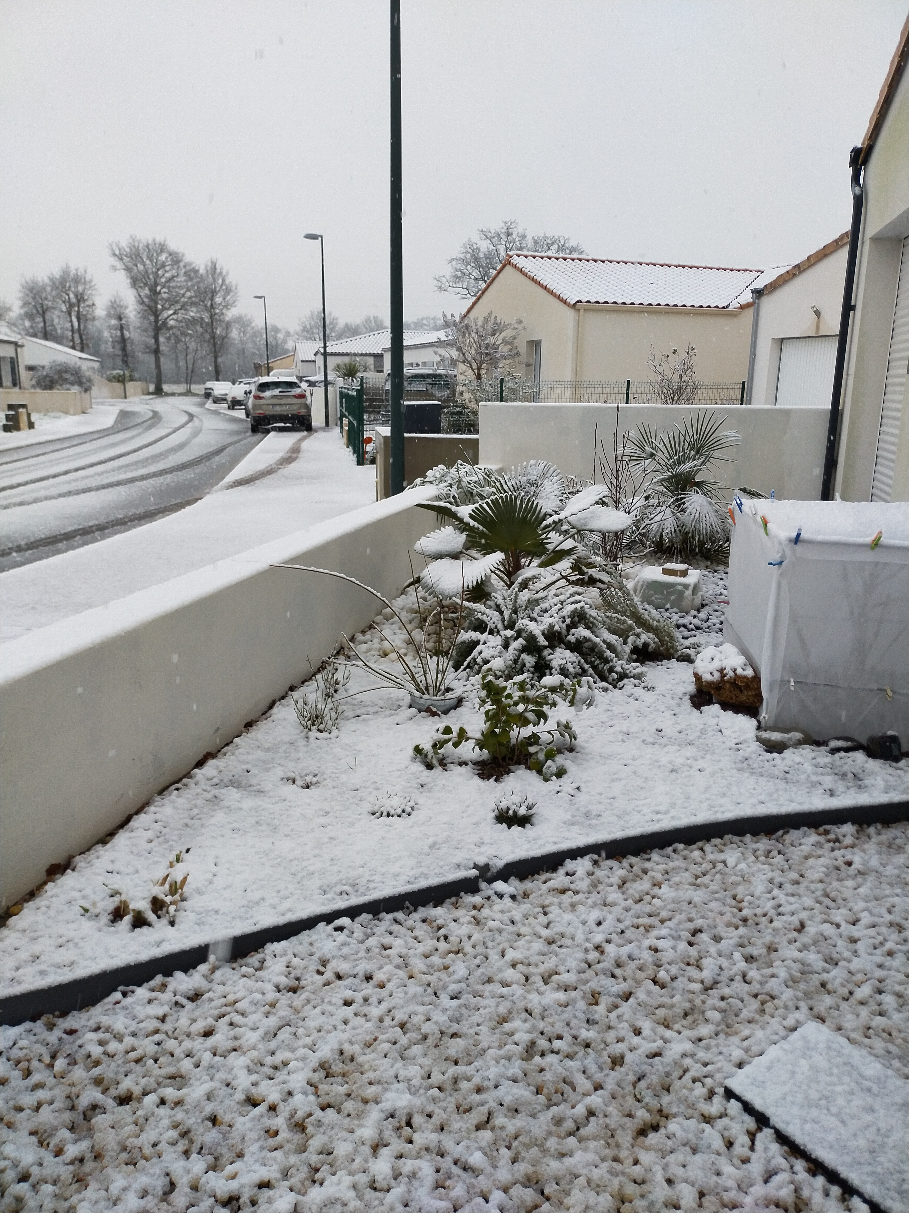 Photo n° 6 de l'avis de Marie.r fait le 08/12/2020 à 15:26