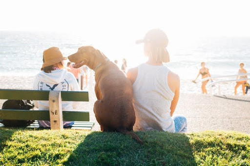 Dog handlers in Vancouver