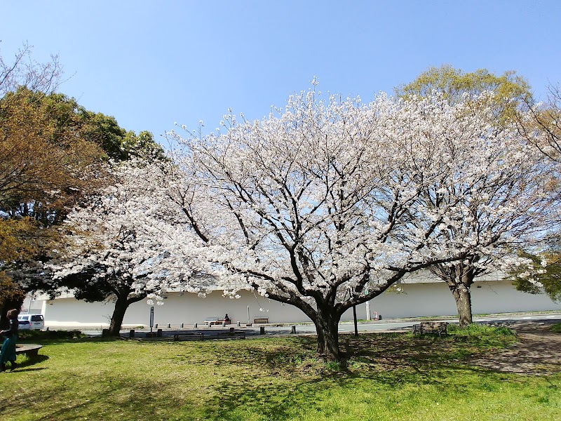 記念公園（水前寺一丁目）