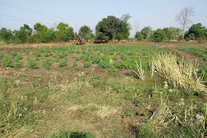 Sahpur Tigdda(sabka ADDA) image