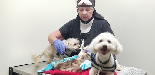 Pet Supply Store «Petco Animal Supplies», reviews and photos, 3495 Sports Arena Blvd, San Diego, CA 92110, USA